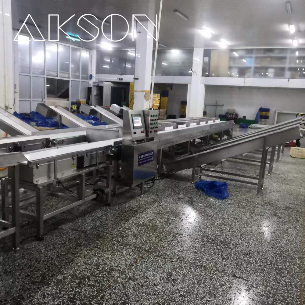 Commercial Fish Sorting Machine with Lucrative Deals 