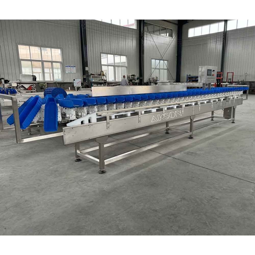 Whole Fish weight sorting machine