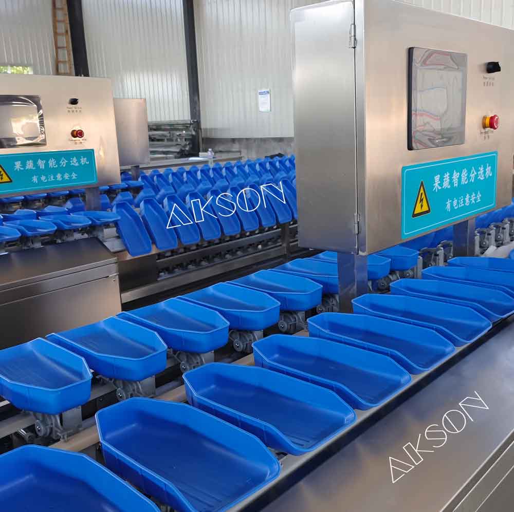 Online automatic weighing and grading sorting machine NOTE